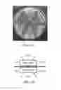 Fig. 08 - Methods for identifying agents useful for modulating the expression and aggregation of CAG-expanded gene product in cells