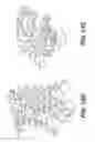 Fig. 22 - TRANSMEMBRANE PROTEINS AS BIOSENSORS