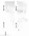 Fig. 09 - Antibody-nanoparticle conjugates and methods for making and using such conjugates