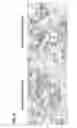 Fig. 10 - Antibody-nanoparticle conjugates and methods for making and using such conjugates