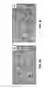 Fig. 17 - Antibody-nanoparticle conjugates and methods for making and using such conjugates