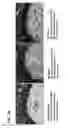 Fig. 20 - Antibody-nanoparticle conjugates and methods for making and using such conjugates