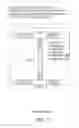 Fig. 08 - Rapid Screening Assay for Qualitative Detection of Multiple Febrile Illnesses