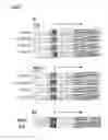 Fig. 09 - Lateral flow assay device