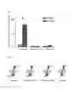 Fig. 10 - Method of analyzing binding aspect of membrane protein in a living cell