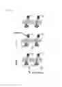 Fig. 12 - Method of analyzing binding aspect of membrane protein in a living cell