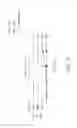 Fig. 12 - Immunologically active polypeptide