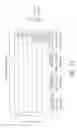 Fig. 17 - Immunologically active polypeptide