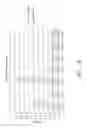 Fig. 19 - Immunologically active polypeptide