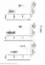Fig. 03 - Detection of an immune response