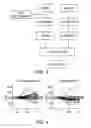 Fig. 04 - Detection of an immune response