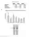Fig. 08 - COMPOSITIONS AND METHODS FOR DETECTING AND TREATING GLIOBLASTOMA