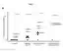 Fig. 11 - COMPOSITIONS AND METHODS FOR DETECTING AND TREATING GLIOBLASTOMA