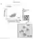 Fig. 14 - COMPOSITIONS AND METHODS FOR DETECTING AND TREATING GLIOBLASTOMA