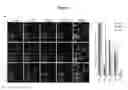Fig. 27 - COMPOSITIONS AND METHODS FOR DETECTING AND TREATING GLIOBLASTOMA