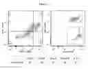 Fig. 32 - COMPOSITIONS AND METHODS FOR DETECTING AND TREATING GLIOBLASTOMA