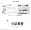 Fig. 36 - COMPOSITIONS AND METHODS FOR DETECTING AND TREATING GLIOBLASTOMA