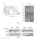 Fig. 02 - PROGNOSIS AND PREDICTIVE BIOMARKERS AND BIOLOGICAL APPLICATIONS THEREOF