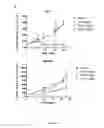 Fig. 08 - PROGNOSIS AND PREDICTIVE BIOMARKERS AND BIOLOGICAL APPLICATIONS THEREOF