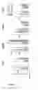 Fig. 10 - PROGNOSIS AND PREDICTIVE BIOMARKERS AND BIOLOGICAL APPLICATIONS THEREOF