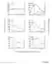 Fig. 07 - Systems and methods for characterizing kidney diseases