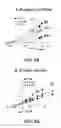 Fig. 05 - Compositions, methods, and assays using proteo-liposome-transfected oocytes for analyzing the structure, function, and activity of membrane proteins