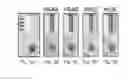 Fig. 06 - LATERAL FLOW IMMUNOASSAY METHOD OF SIMULTANEOUSLY DETECTING HEMOGLOBIN S, HEMOGLOBIN C, AND HEMOGLOBIN A IN NEWBORNS, INFANTS, CHILDREN, AND ADULTS