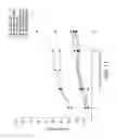 Fig. 14 - METHODS AND DEVICES FOR IMMUNODIAGNOSTIC APPLICATIONS