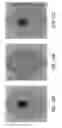 Fig. 15 - METHODS AND DEVICES FOR IMMUNODIAGNOSTIC APPLICATIONS