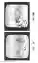 Fig. 19 - METHODS AND DEVICES FOR IMMUNODIAGNOSTIC APPLICATIONS