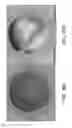 Fig. 20 - METHODS AND DEVICES FOR IMMUNODIAGNOSTIC APPLICATIONS