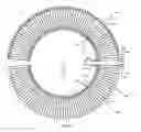 Fig. 32 - PCB Rogowski coil