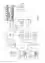 Fig. 06 - Systems and methods for steady-state magnetic resonance fingerprinting