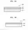 Fig. 03 - Method and apparatus for differentially detecting beta rays and gamma rays included in radio active rays and package comprising the apparatus