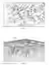 Fig. 02 - 2.5D stadia meshing