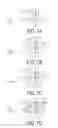 Fig. 07 - Substrate for mounting imaging element, and imaging device