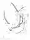 Fig. 02 - Glasses