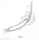 Fig. 05 - Glasses