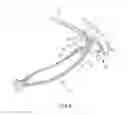 Fig. 06 - Glasses
