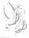 Fig. 07 - Glasses