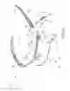Fig. 11 - Glasses