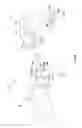 Fig. 27 - Eyeglasses frame