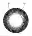 Fig. 01 - Systems and methods for printing on a contact lens