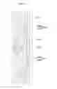Fig. 13 - Liquid crystal display device
