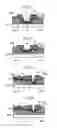 Fig. 35 - Liquid crystal display device comprising a metal wiring in contact with a counter electrode and a transparent electrode at a contact hole