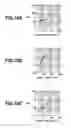 Fig. 11 - Evaluation method of defect size of photomask blank, selection method, and manufacturing method
