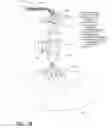 Fig. 19 - Super-resolution exposure system