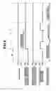 Fig. 09 - Image forming apparatus