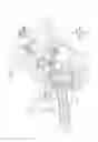 Fig. 12 - Image forming apparatus for transporting collected toner and new toner with reduced clogging