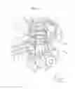 Fig. 13 - Image forming apparatus for transporting collected toner and new toner with reduced clogging